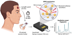 The graphical abstract.