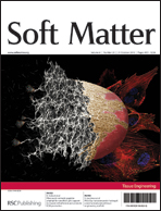 Outside front cover for Soft Matter issue 20, 2010