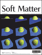 Outside front cover for Soft Matter issue 21 