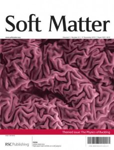 Soft Matter issue 22 front cover