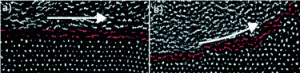 Graphical abstract: Complex plasma—the plasma state of soft matter