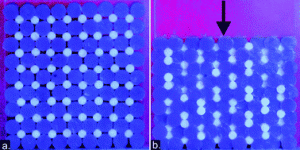 Graphical abstract: Deformation induced pattern transformation in a soft granular crystal