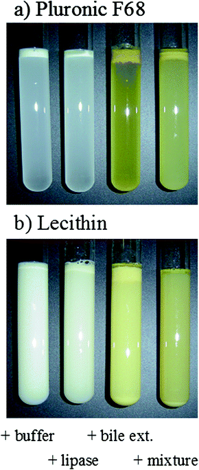 lipid emulsion