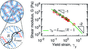 Graphical abstract for "Molecular understanding for large deformations of soft bottlebrush polymer networks". Containing an illustration of bottlebrush polymer networks and a graph of yield strain v shear modulus