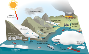 Graphical abstract